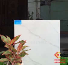 Gạch 60x60 màu trắng họa tiết đơn giản