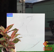 Gạch 60x60 màu trắng vân mây